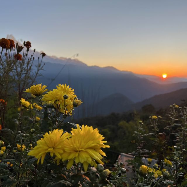 Tadapani…Fishtail view point