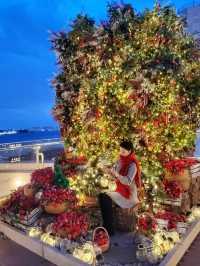 딸기트리로 핫한 인천카페 바다앞테라스🍓🎄