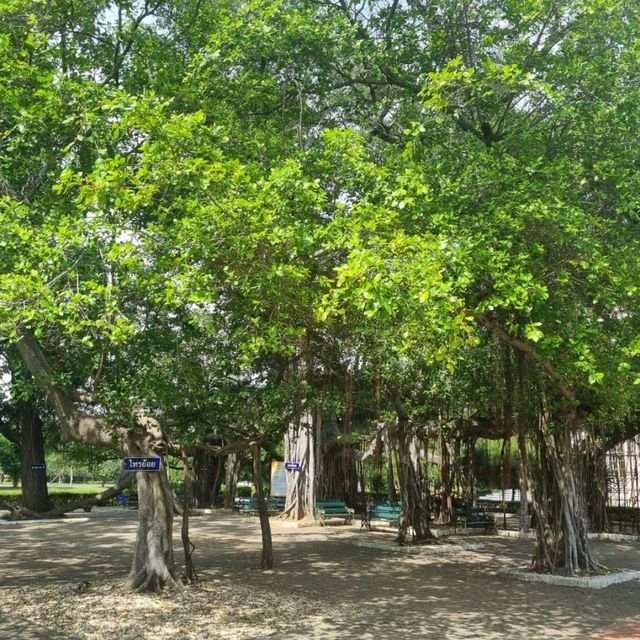 พระราชวังบ้านปืน ตามรอย หนัง 303กลัว/กล้า/อาฆาต