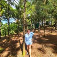 FORDA SILAW @ NAPA