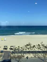 삼척바다가 보이는 카페 어나더💙