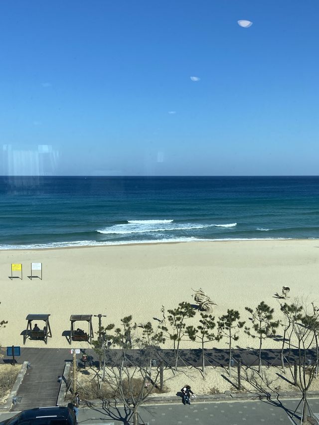 삼척바다가 보이는 카페 어나더💙