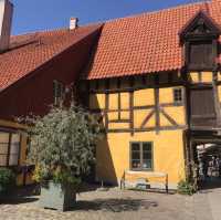 8月份既丹麥🇩🇰·瑞典馬爾默🇸🇪