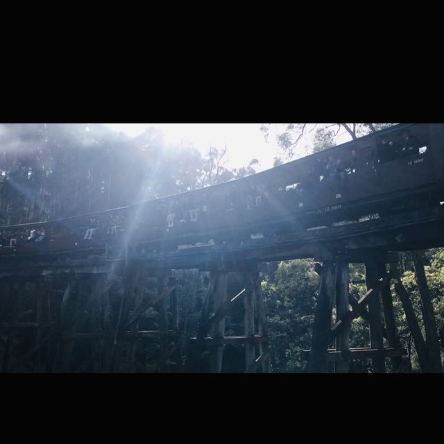 墨爾本的蒸氣火車博物館