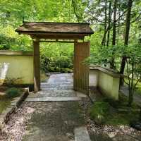 Relaxing Tea Spot in a Lush Japanese Garden