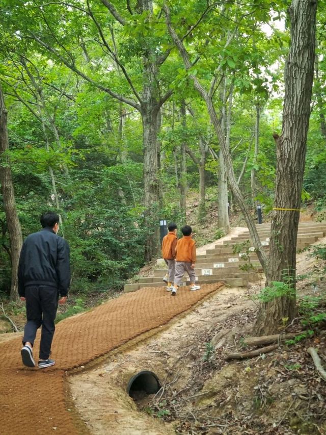 고하도전망대 둘레길! 해상데크와 150세힐링건강계단