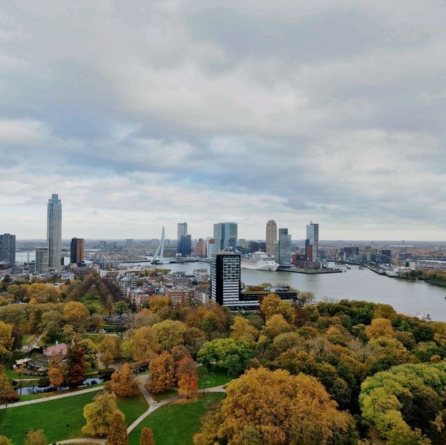 Euromast view in Rotterdam