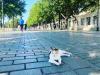 伊斯坦堡-君士坦丁廣場（Sultanahmet Square）