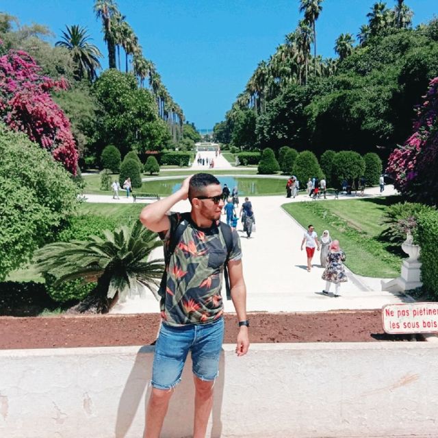 jardin d'essaie alger