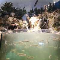 Bass Pro Shops are Mind Blowing!