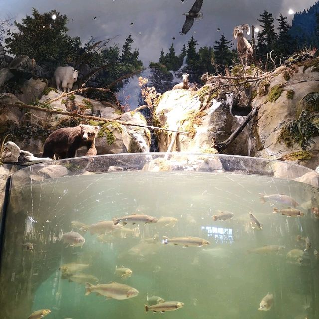 Bass Pro Shops are Mind Blowing!