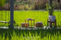 บ้านไร่ปลายนา [อุทัยธานี]