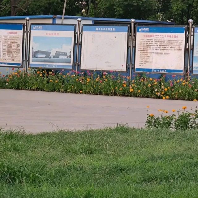 汤湖公园自由行