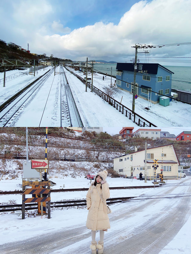 【Super Dry Goods】Must-Do 6 Things for a Deep Free Trip to Hokkaido