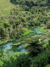 The most vivid Blue Spring, do you have it?