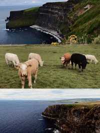 The beauty above the cliff: Check-in at the filming location of "Harry Potter", Europe's highest cliff｜