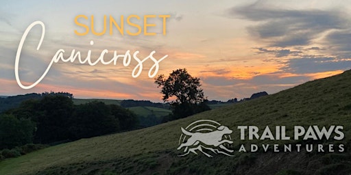 Sunset Canicross | Therfield Heath,