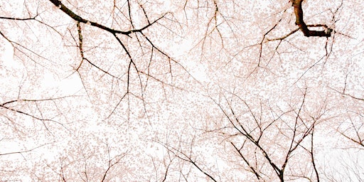 SANTAI SWARA – A MULTI INSTRUMENTS SOUNDBATH | SPACE2B