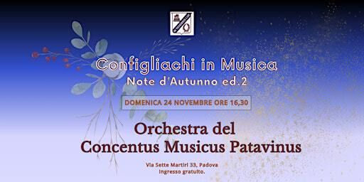 Orchestra del Concentus Musicus Patavinus | Configliachi in Musica | Via Sette Martiri, 33