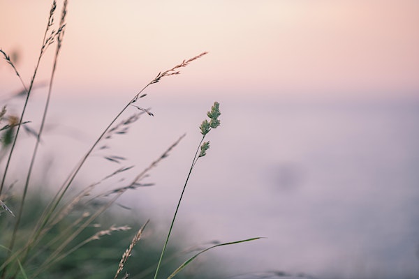Simplify Your Spiritual Life | Tau Center