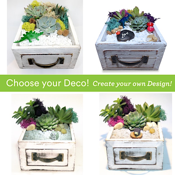 Family Plant Party: Make a Succulent Terrarium | The Mom Market - Ace Acumen Heights
