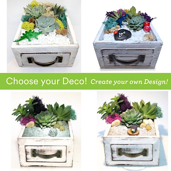 Family Plant Party: Make a Succulent Terrarium | The Mom Market - Ace Acumen Heights