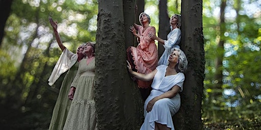 Een Midzomernachtsdroom | Imperium