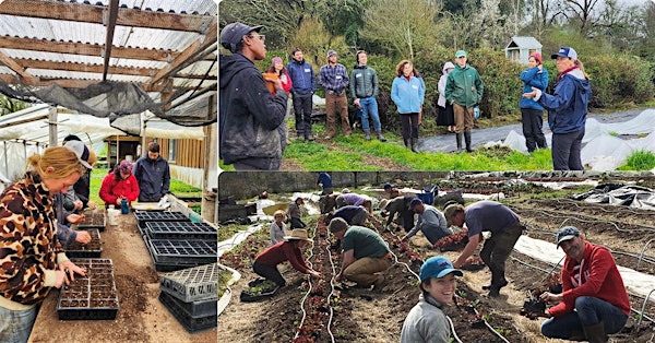 Seasonal Home Farmer Workshop Series | Singing Frogs Farm