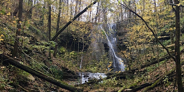 Fall  Long Hike | Floracliff Nature Sanctuary