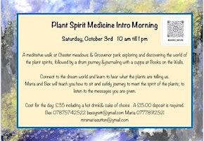 Plant Spirit Intro Morning | books on the walls