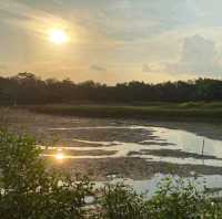 Singapore’s first ASEAN Heritage Park
