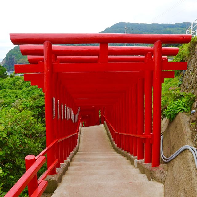 山口県の伏見稲荷？？鳥居が並んでます！