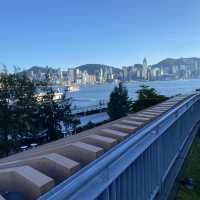 無敵海景的草地平台 