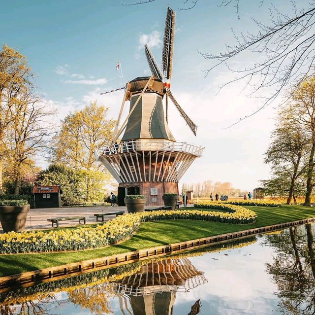 Keukenhof Holland Tulip Season