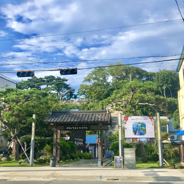 [포항] 동백꽃 필 무렵 촬영지🌺 구룡포 일본인 가옥거리