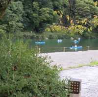 River Boating in Kyoto