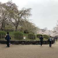 京都の代名詞 八坂神社