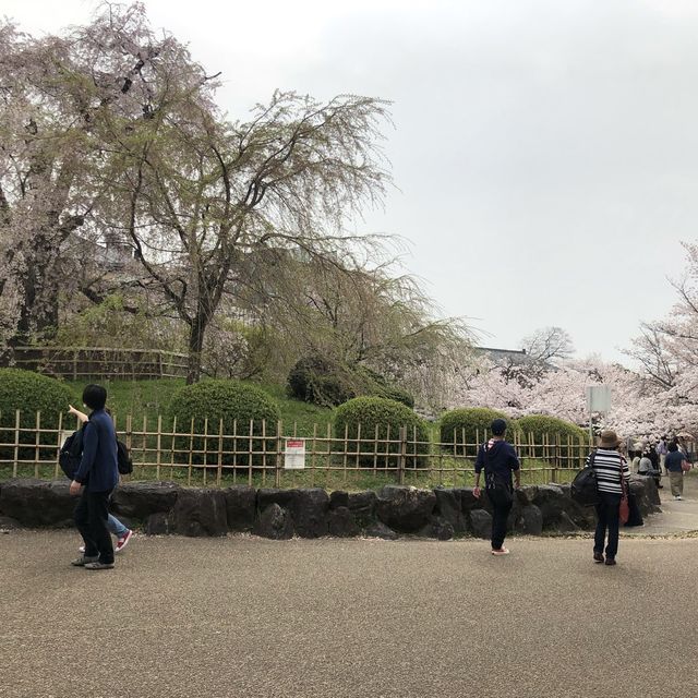 京都の代名詞 八坂神社