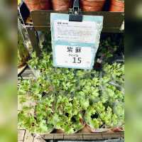 花香撲鼻