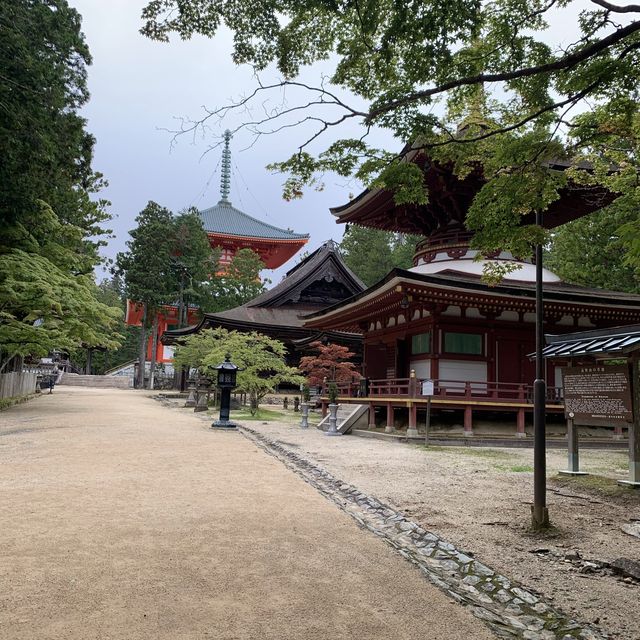 高野山散策