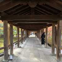 【京都】紅葉の名所　東福寺
