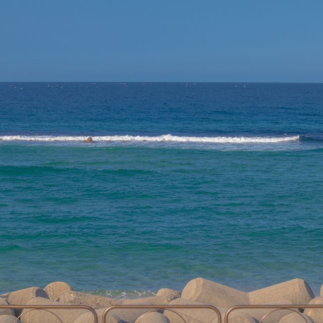 당일치기 여행지 추천 :: 속초바다🏖
