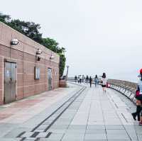 無敵海景 金紫荊廣場