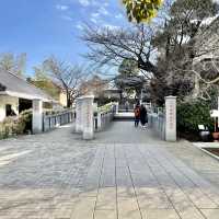 泉岳寺の梅