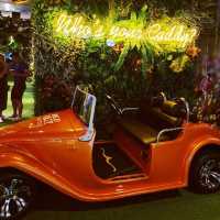 Fun indoor mini golf experience