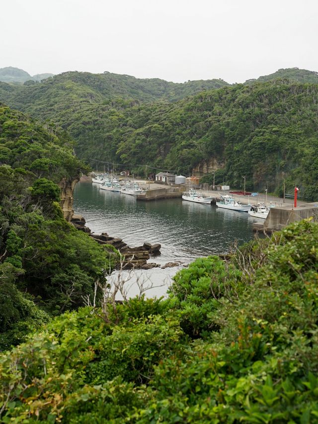 【千葉・勝浦】理想郷
