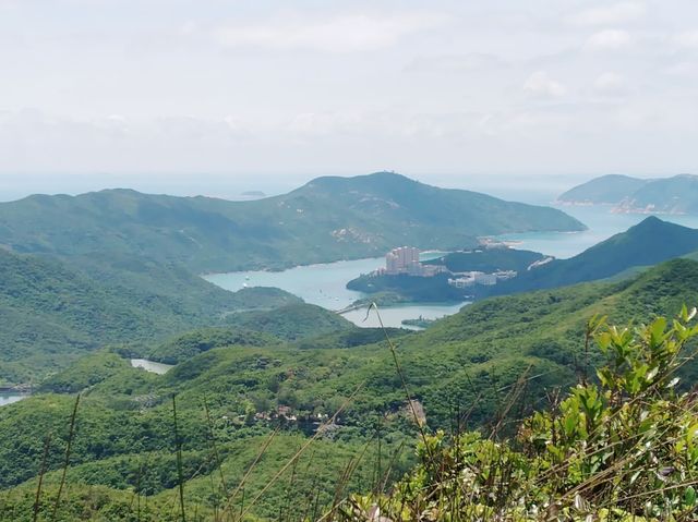 鰂魚涌坳