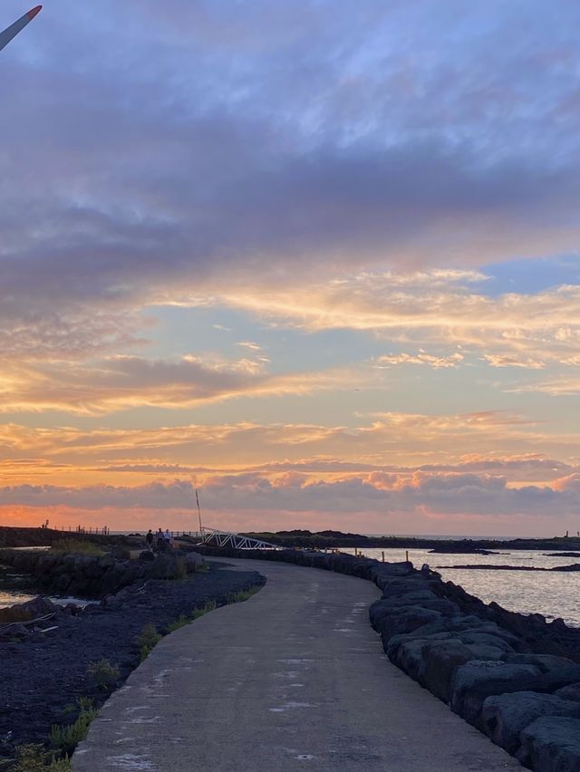 [제주도] 제주도 노을 스팟중 최고봉✨ 풍차와 노을의 조화