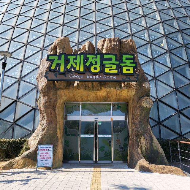 가족여행으로 방문하기 좋은 거제여행지 '거제정글돔'