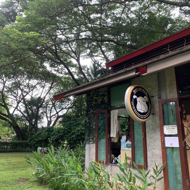 ☕️🌳กาแฟหมาใจดำ Maa Jai Dum Coffee🐶🐕‍🦺